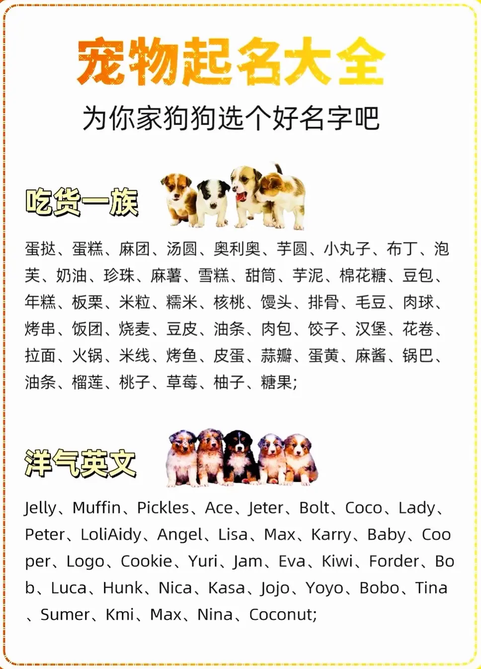 想取特別的寵物名字英文?這幾個小技巧你該知道!
