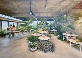 tutorJr牛津課程費用划算嗎?和其他平台比比看