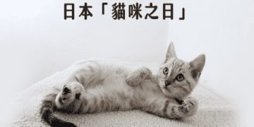 巨匠美語1200堂免費課程是真的嗎?別被騙了!先看這篇!