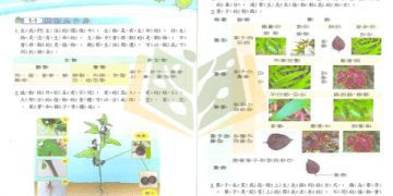 國小安親班費用怎麼選?這些服務內容影響價格!