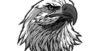 大衛美語費用2018知多少?過來人告訴你值不值!