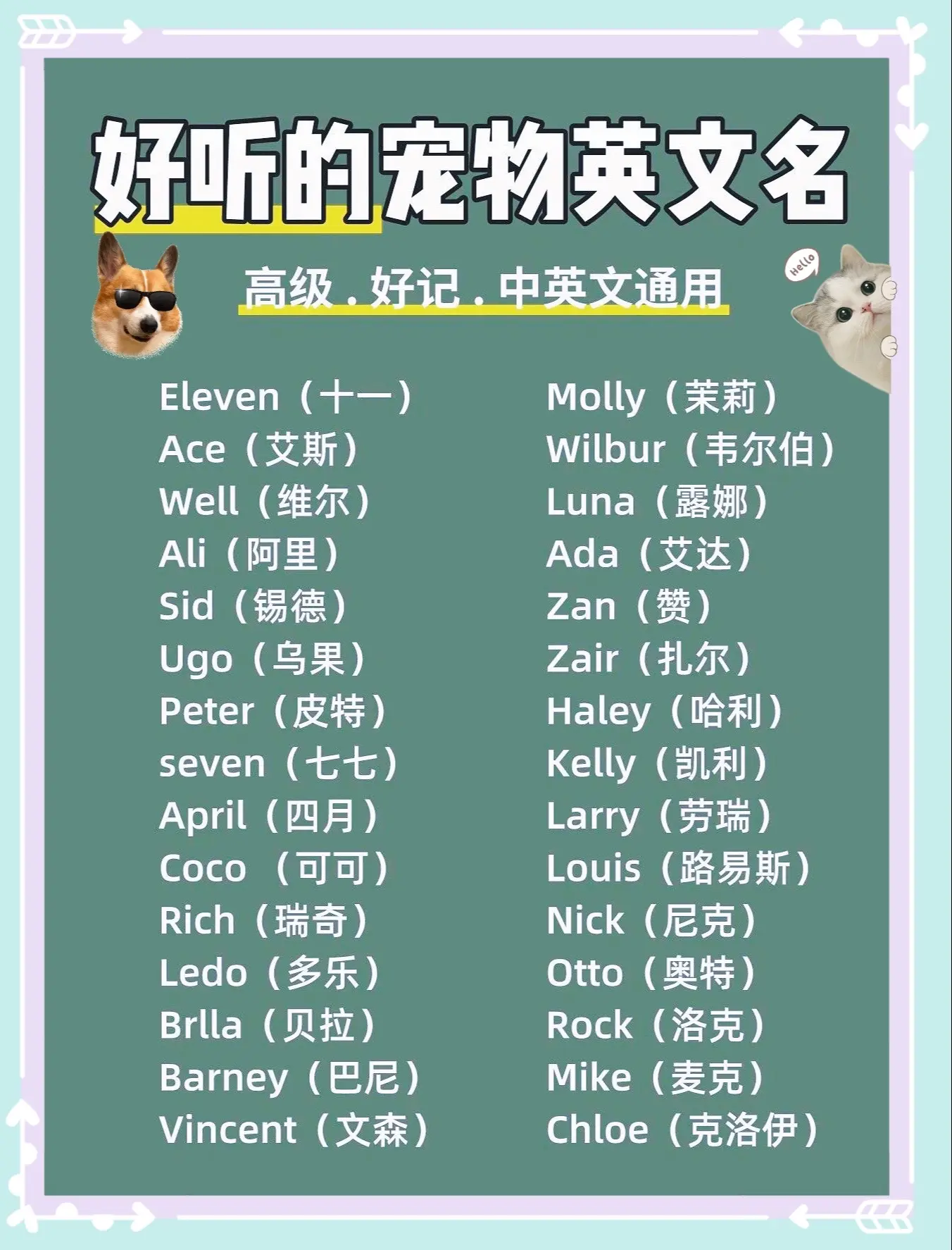 寵物英文名字怎麼取?好聽又好記的技巧分享!