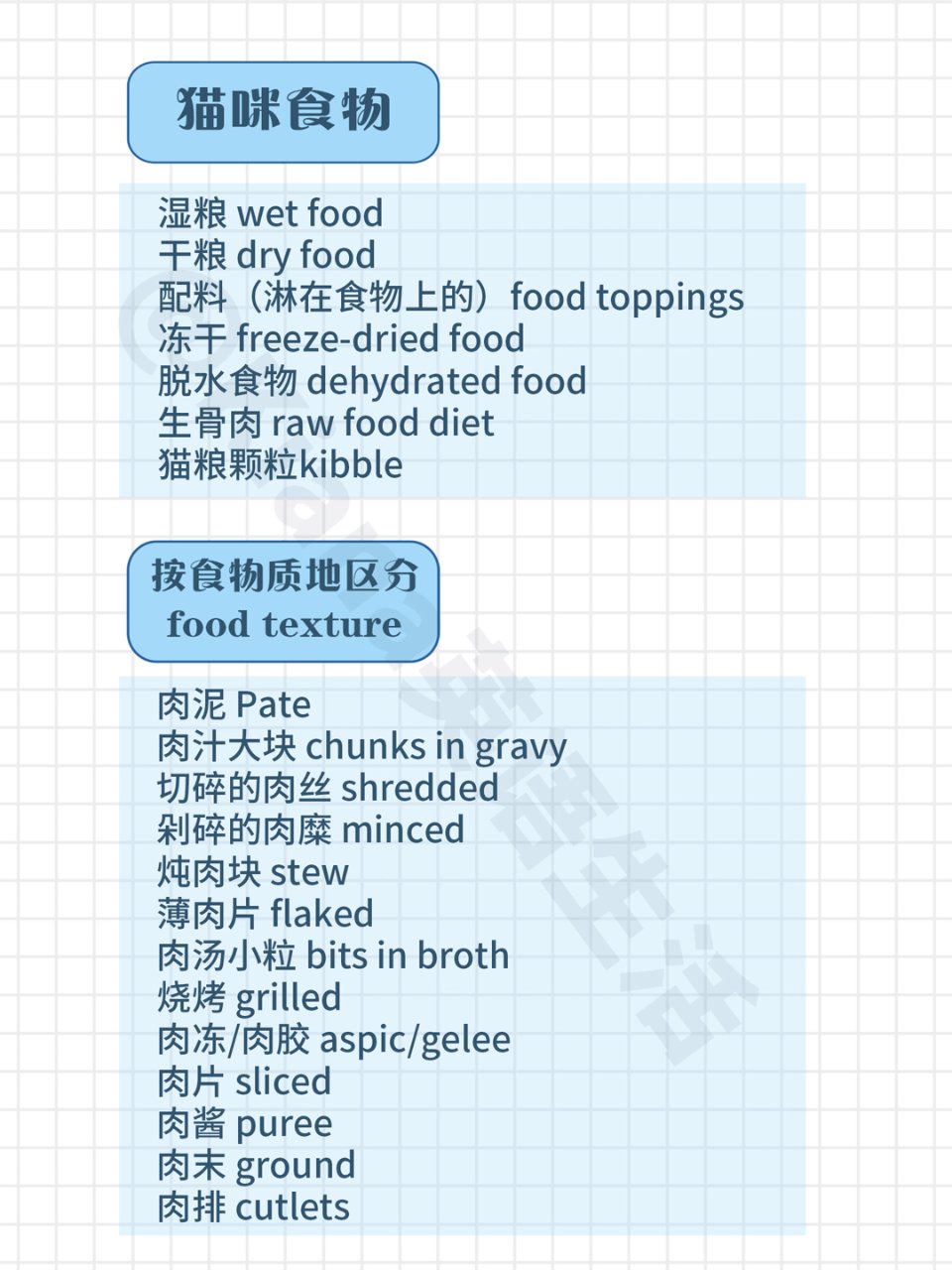 貓飼料英文單字有哪些?養貓必學的寵物英文詞!