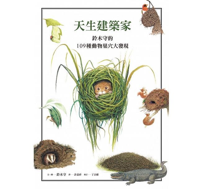 巢穴英文怎麼寫?一次搞懂各種動物的巢穴!