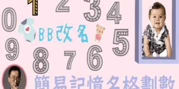 何嘉仁費用大公開,CP值高不高一看就知道!