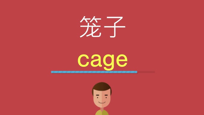 籠子英文單字係咩?教你輕鬆記住唔再怕!