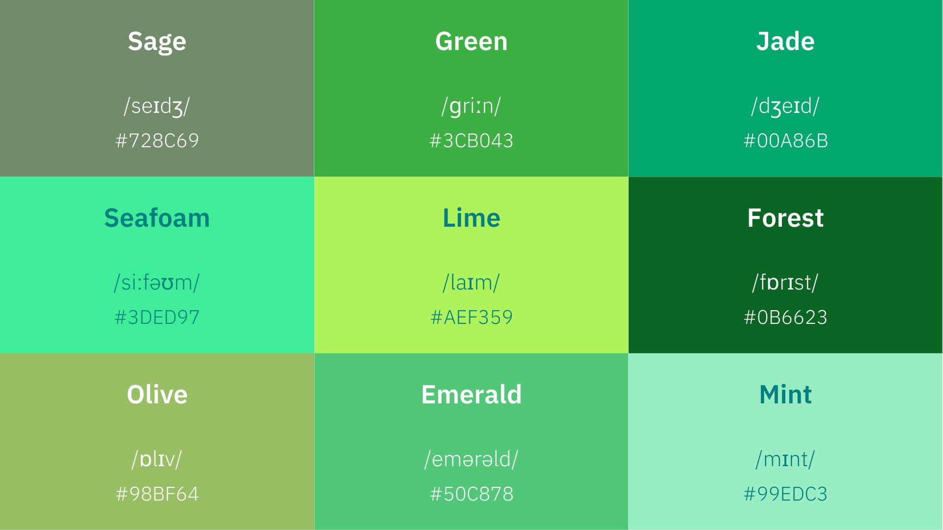 墨绿色英文只会说dark green?教你更多地道表达!
