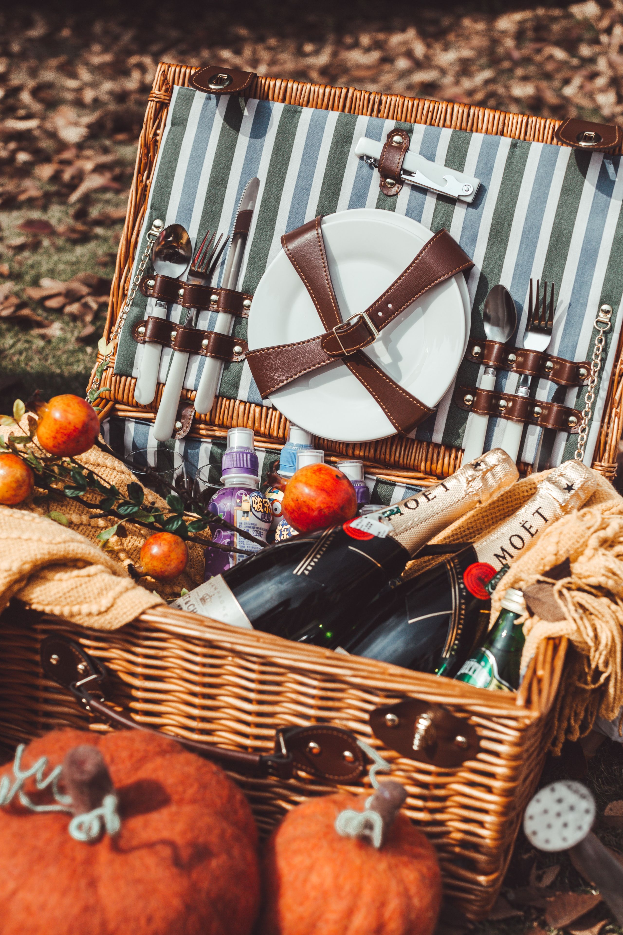 野餐的英文原來係咁!學識 Picnic,plan 個完美嘅戶外活動!