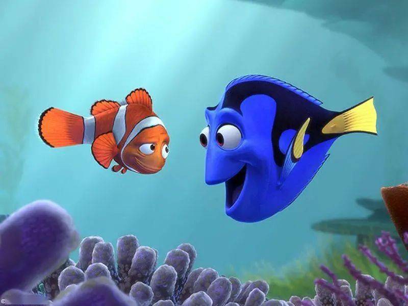 你知道內向、穩重的性格英文怎麼說嗎？不要只會用「shy」了！