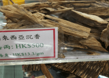 象徵秋天到來的「桂花」用英語怎麼說？加碼介紹各種花的說法！