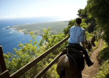 夏威夷有自己的英文！？彩虹島的英文情況如何？