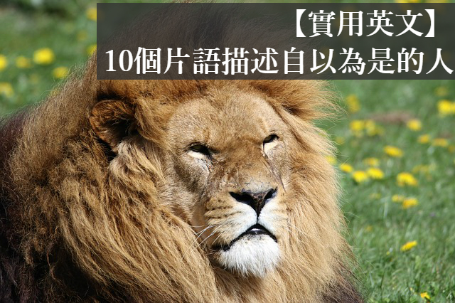 各種「自戀」、「自以為是」的英文表現方式