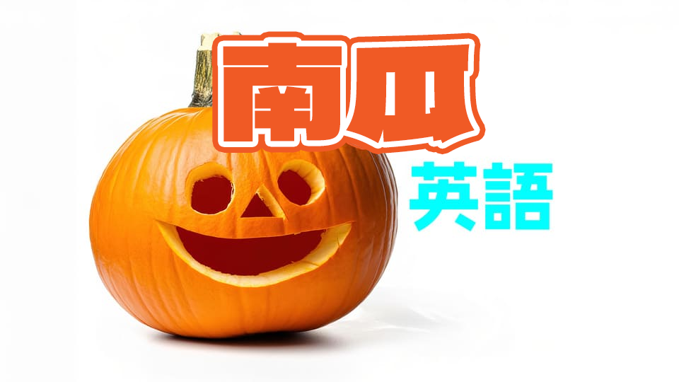 萬聖節的主角南瓜!學習南瓜的英語表達!