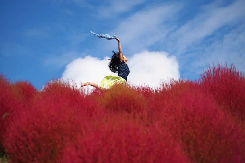 讓人想到秋天的銀杏！它的英語怎麼說？加碼介紹香味的表達！