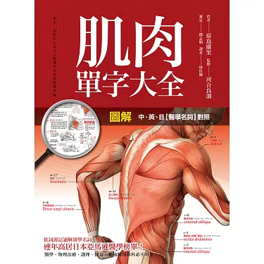 學會用英文來表示「肌肉酸痛」!另外也會介紹全身肌肉酸痛等的表現