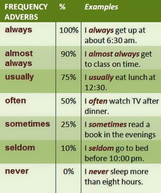 常常？偶爾？表達從100%到0%「頻率」的英語表現