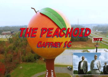 介紹「傾向」的英語表達！日常生活中可以使用的會話片語