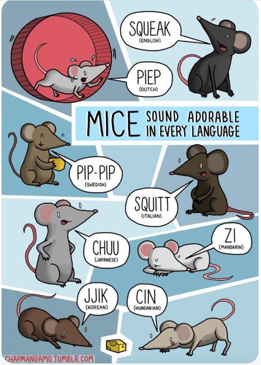 英文音效特輯!動物的聲音有哪些擬聲詞?