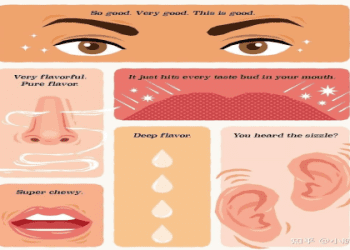 味道的英文單字是什麼？解說口感和「美味」的英語表達