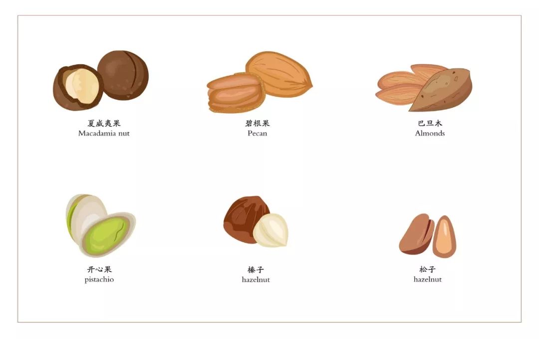 秋季食材「花生」的英語表現是什麼?同場介紹關於nuts的俚語!