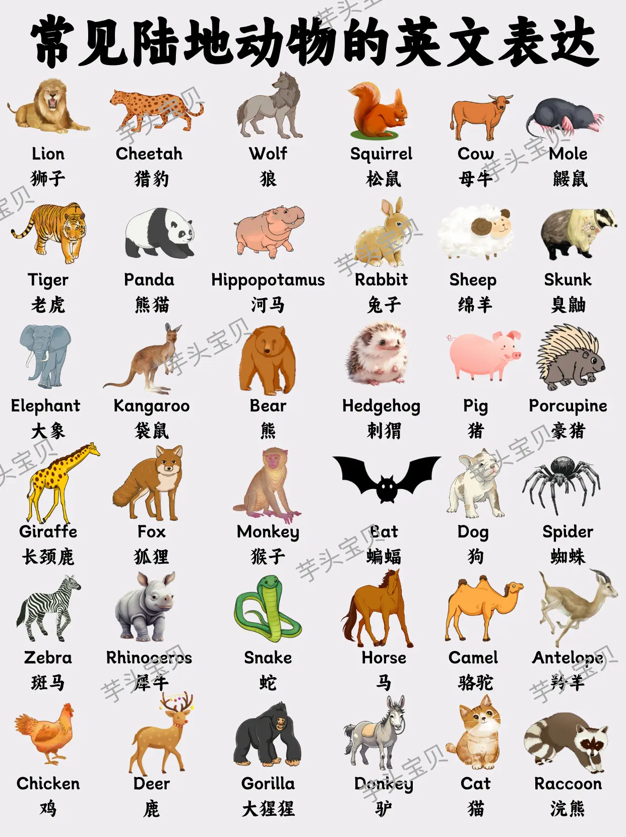 用英語參觀動物園!有趣的動物英語和小知識