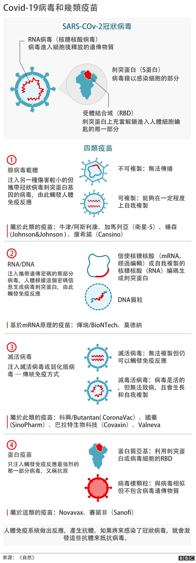 「疫苗」的英文怎麼說?這是大家應該要知道的單字!