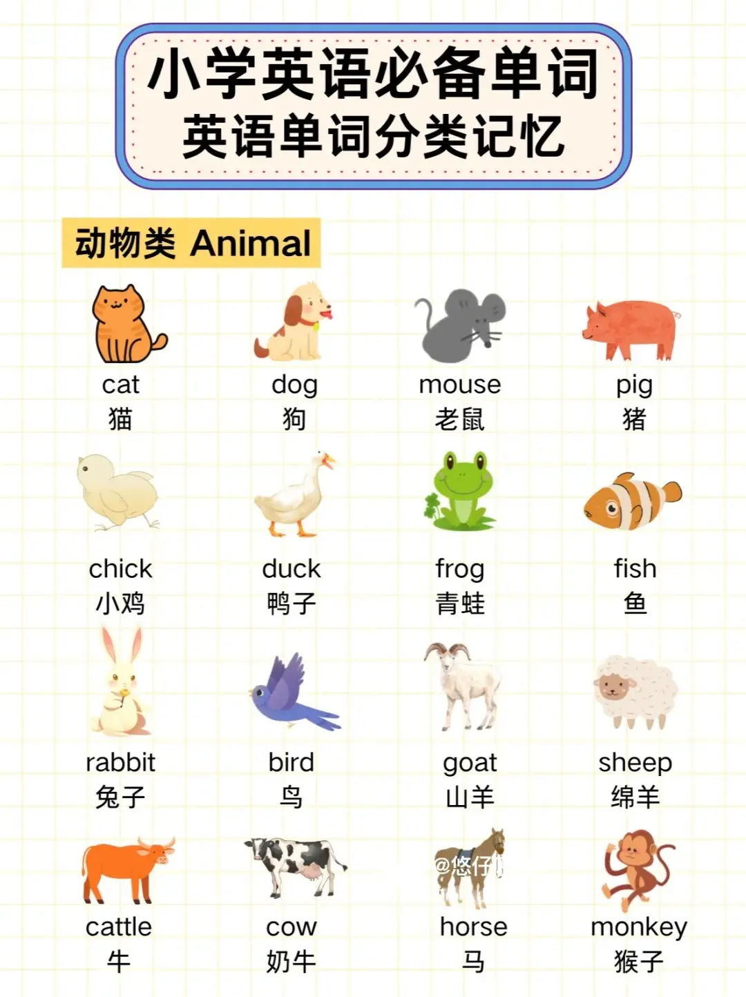用英語參觀動物園!有趣的動物英語和小知識