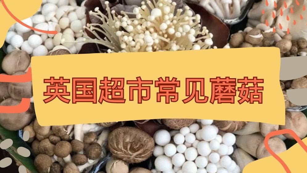 「菇類」的英文怎麼說？香菇、金針菇、鴻禧菇等，各種菇類英文說法介紹！