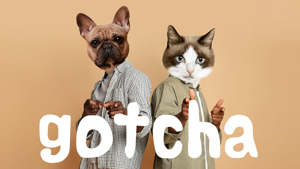 Gotcha！是什麼意思？介紹關於Gotcha的俚語表達用法