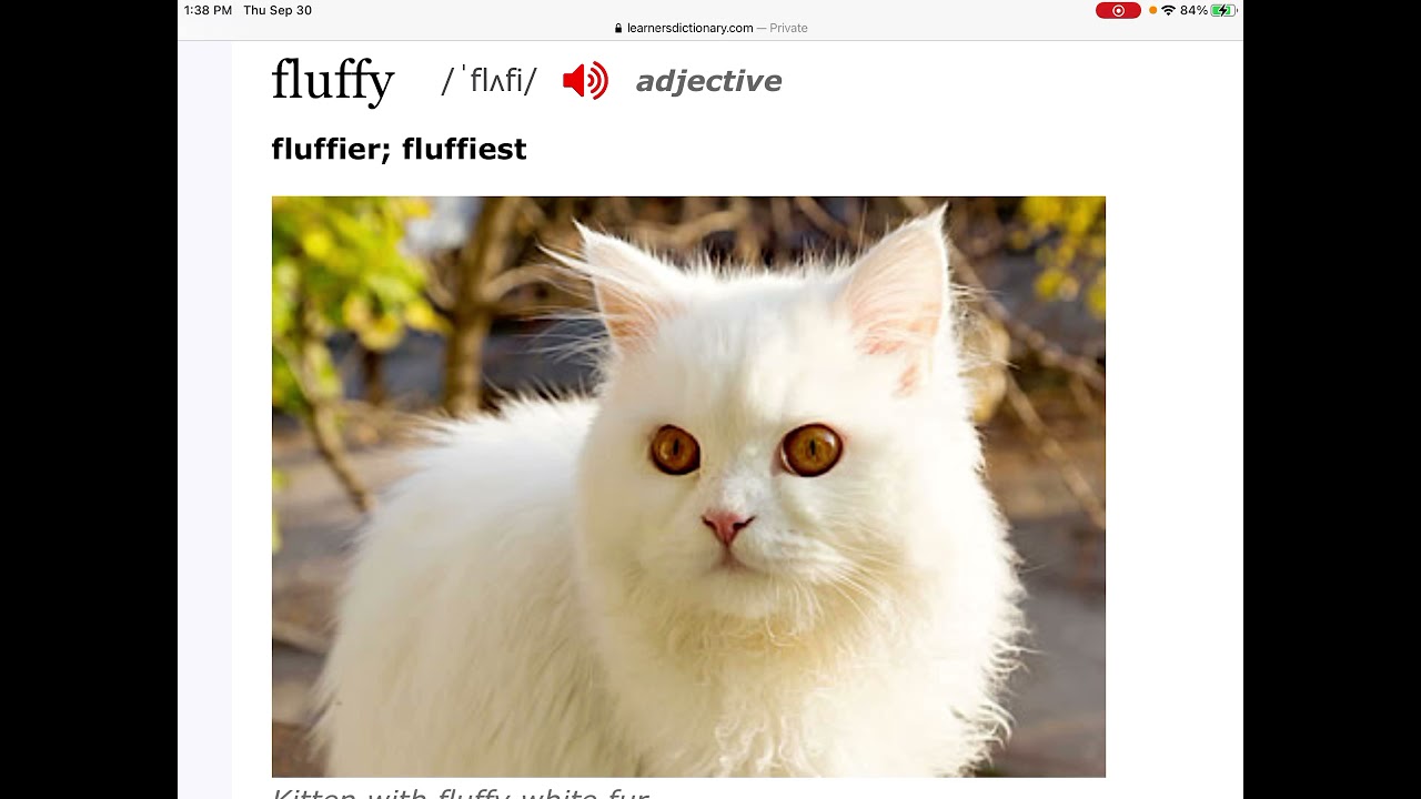 「輕飄飄」「毛茸茸」「蓬鬆」用英語怎麼說?