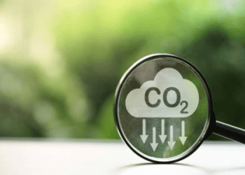 什麼是「go green」？介紹它的意思和使用方法