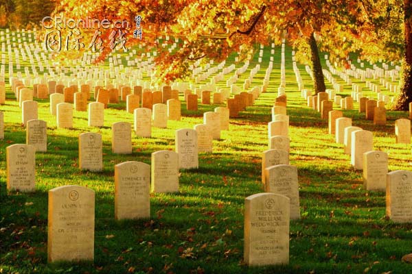 葬禮的英文怎麼說？一起介紹哀悼等相關表達方式！