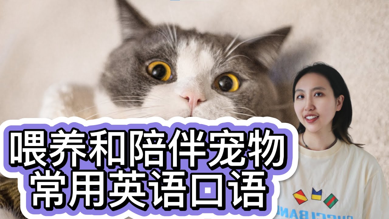 與寵物相關的英語表達，你能用英語說寵物的話題嗎？