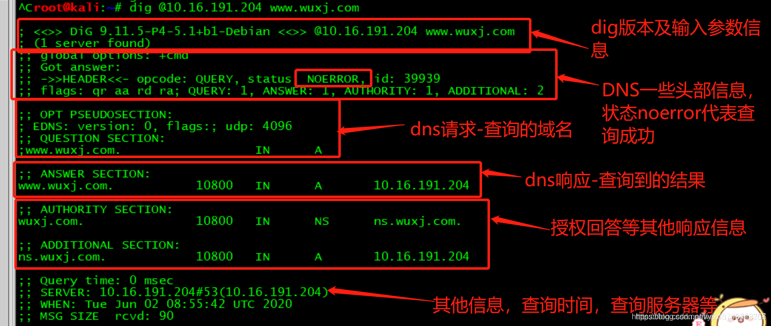 「dig」是什麼意思?介紹其「探尋」、「調查」等多種含義和用法
