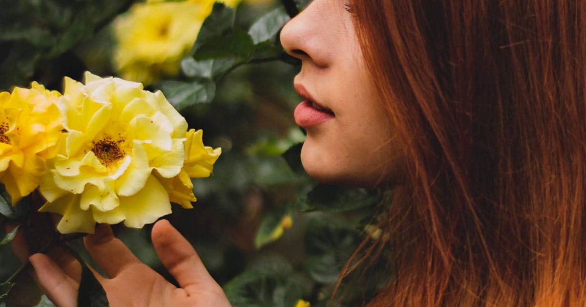 想送花給心儀對象嗎？快來學學各種花的英文花語吧！