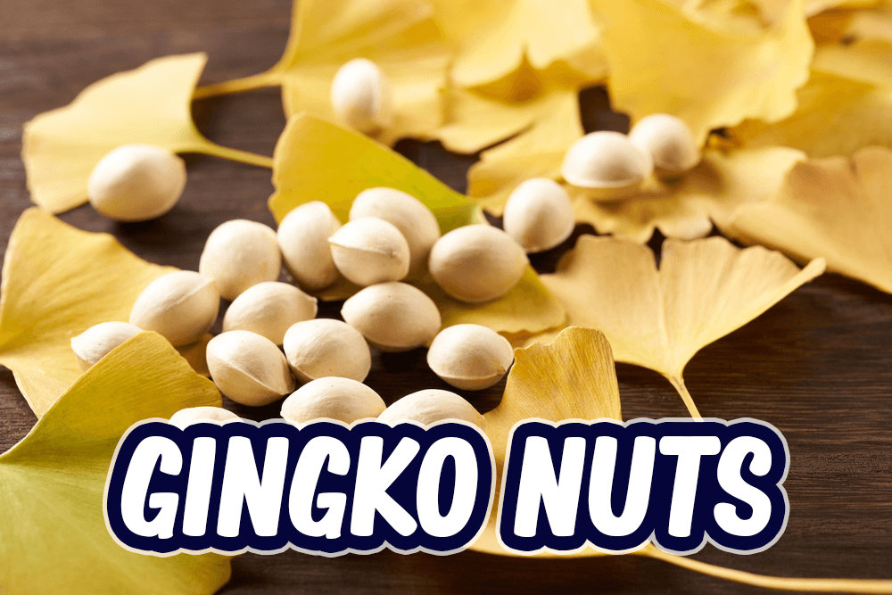 讓人想到秋天的銀杏！它的英語怎麼說？加碼介紹香味的表達！