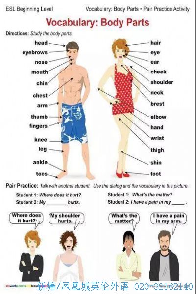 身體部位用英語怎麼說？不知道的單字竟意外的多！