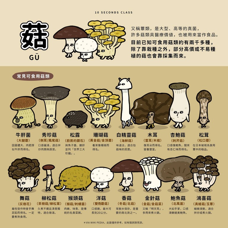 「菇類」的英文怎麼說？香菇、金針菇、鴻禧菇等，各種菇類英文說法介紹！
