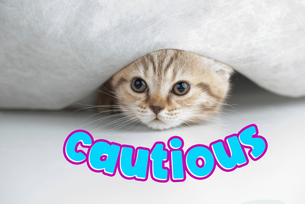 「慎重」的英文怎麼說？各種相關單字片語介紹