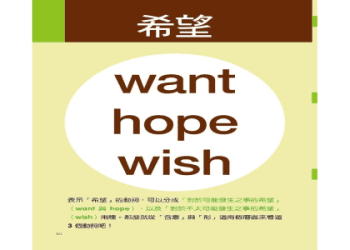 如何用 wish 和 hope 表達「我希望～」！
