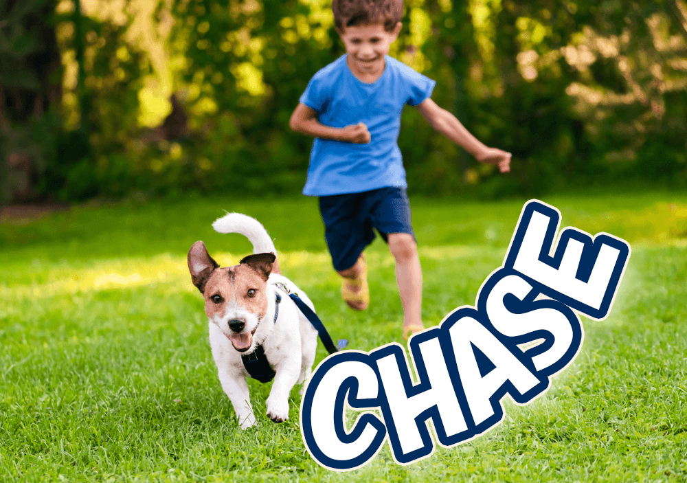 「追逐」的英文怎麼說?順便告訴你「追星族」的單字和相關名言