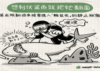 「鯨鯊」的英語該怎麼說？牠又是什麼樣的生物？