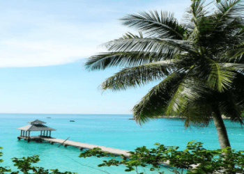 「一拍即合」用英語怎麼說？讓我們用英語表達喜歡的東西！