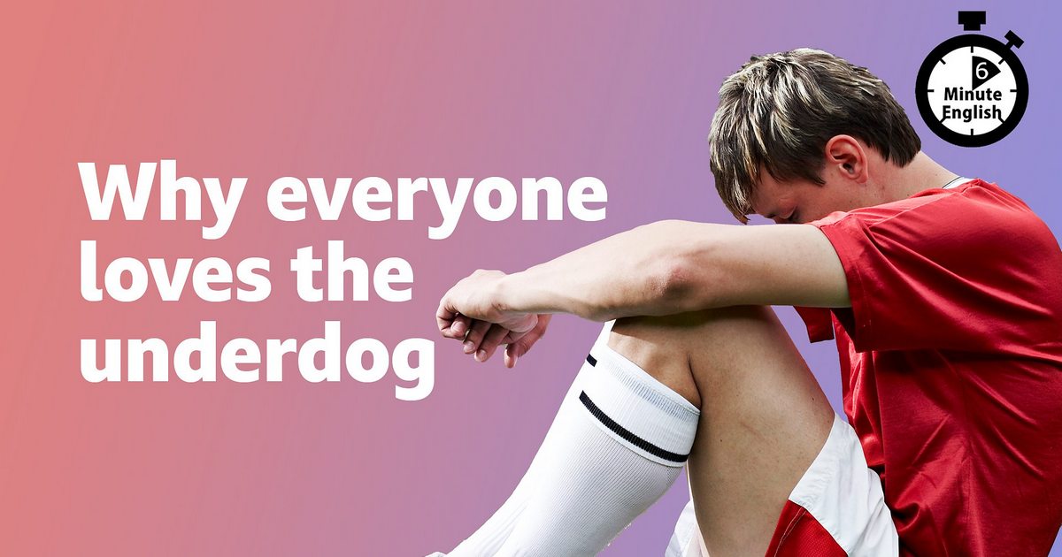 我們贏了！「勝利」的英語表達方式為何？運動相關表達也一併介紹！