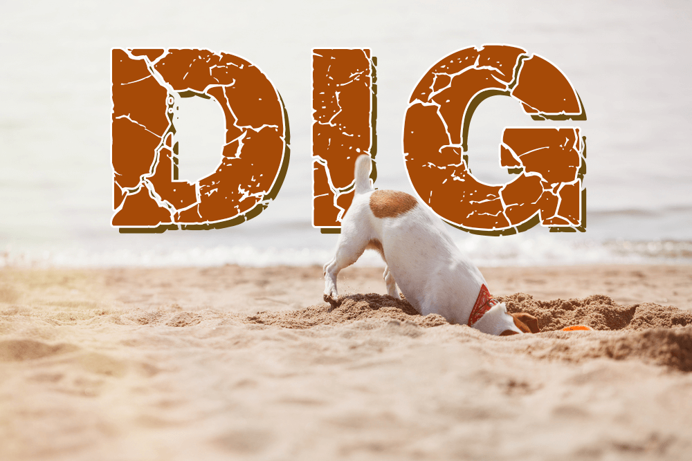 「深掘」用英語怎麼說？一併介紹在商務場合的用法