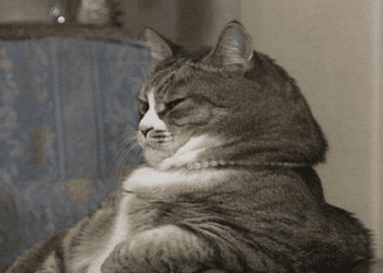 「焦急的情緒」該如何使用英語表達？介紹各種語感不同的英語表達方式！