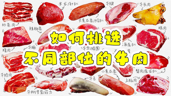 「不同部位的肉品名稱」怎麼說？還有各種點餐說法一次教給你！
