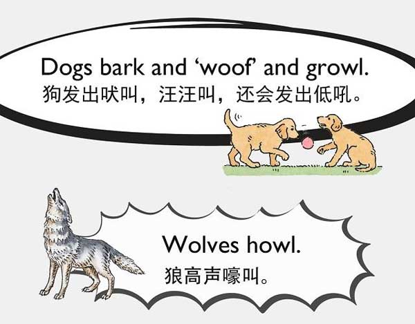 英文音效特輯!動物的聲音有哪些擬聲詞?