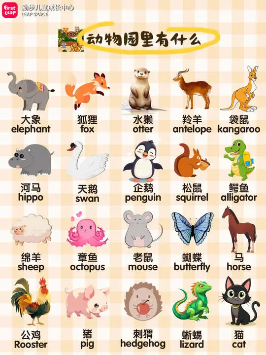 用英語參觀動物園!有趣的動物英語和小知識