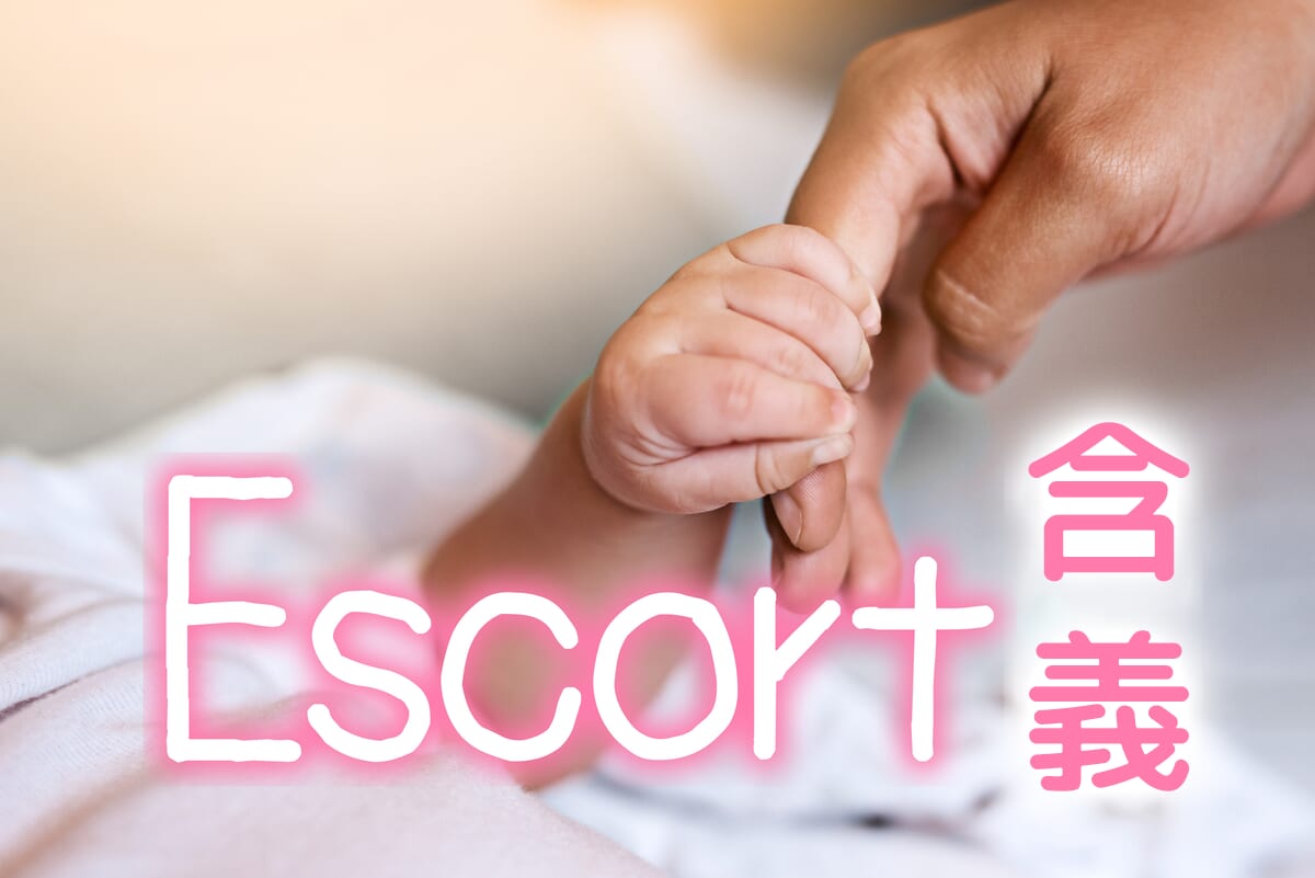 介紹 escort 的含義和跟用法!